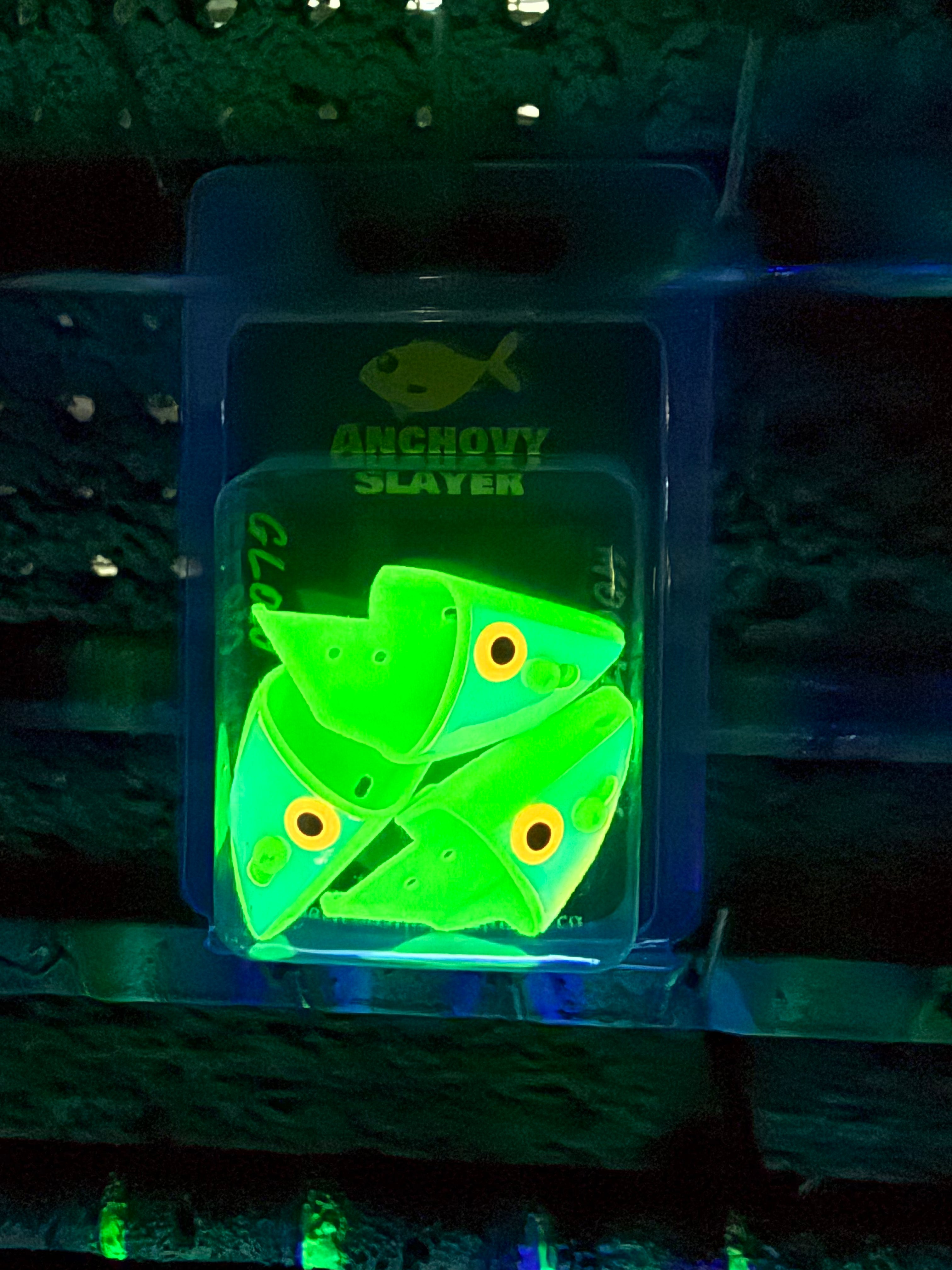 Anchovy Slayer - Teaser Heads