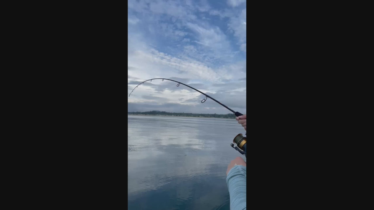Light Action Jigging Rods 1 Piece