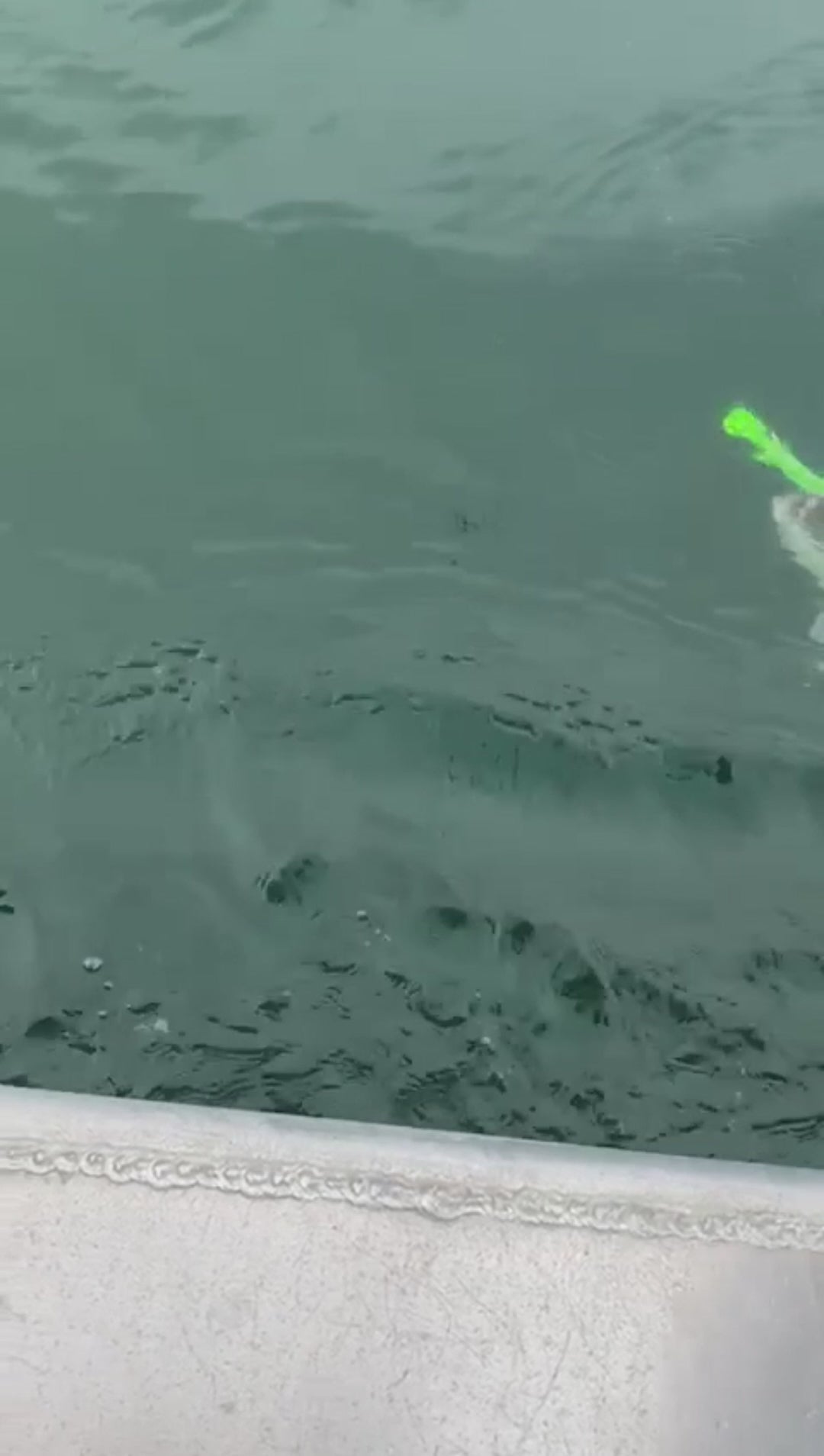 Hyper GLOW Octopus Lures