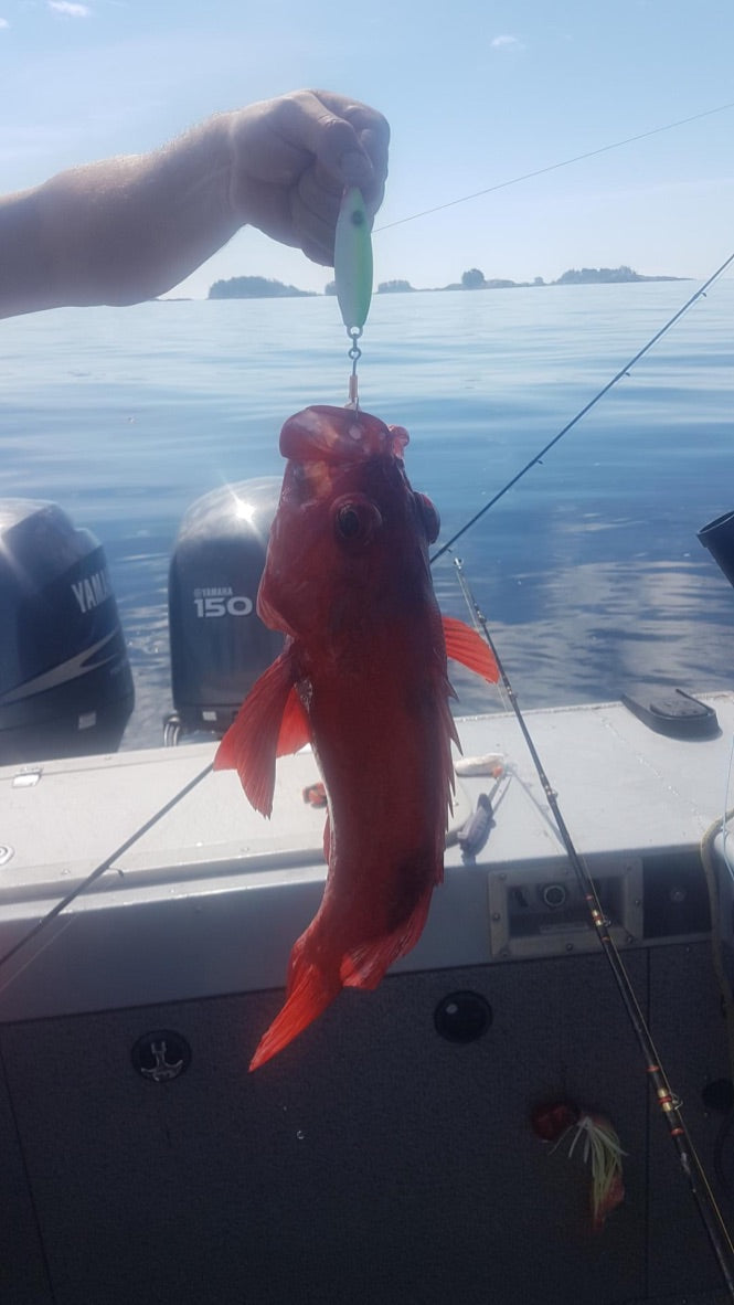 Flat Fall Lures