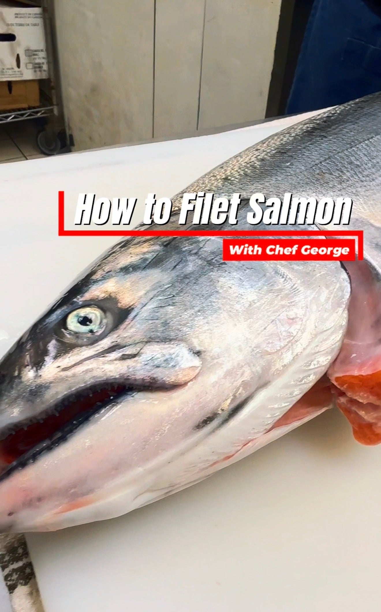 How to Filet Salmon - 2 Ways