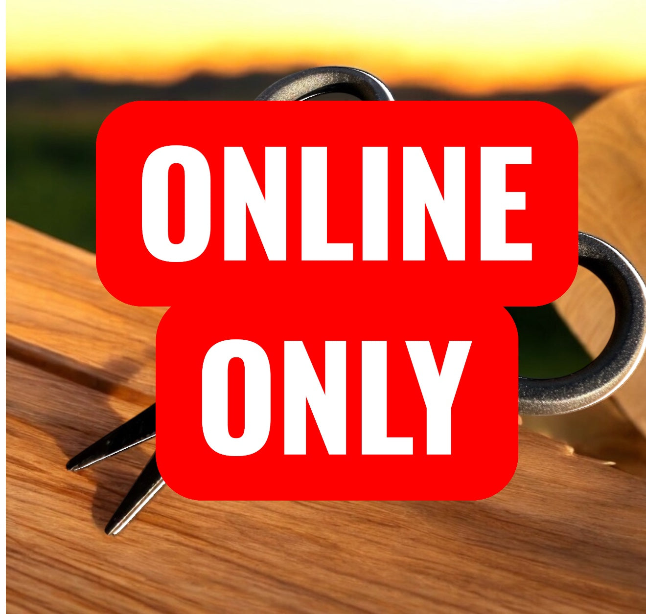 WCFT ONLINE ONLY PRODUCTS