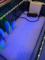 GLOW VAULT - UV-Charging Fishing Tackle Box