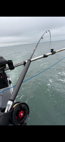 FURY CARBON XU Series - Premium Heavy - NEW 2026