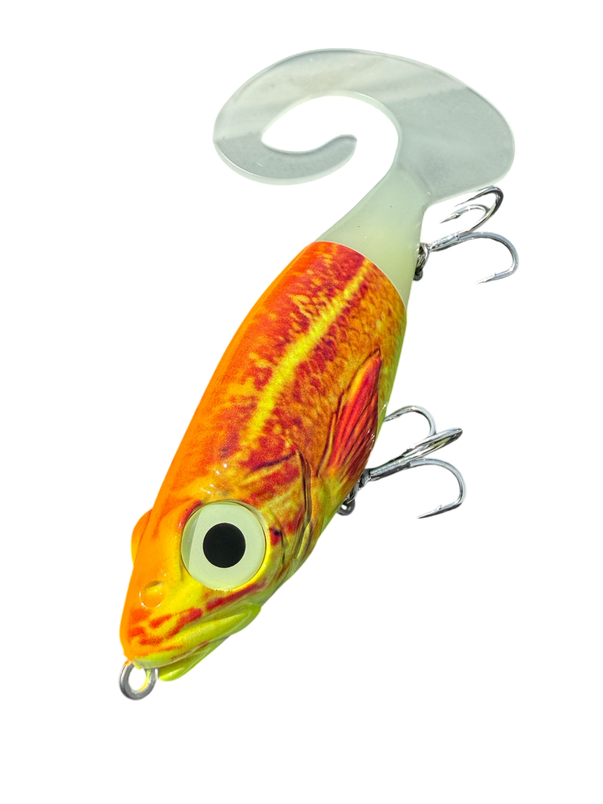 Quillback
