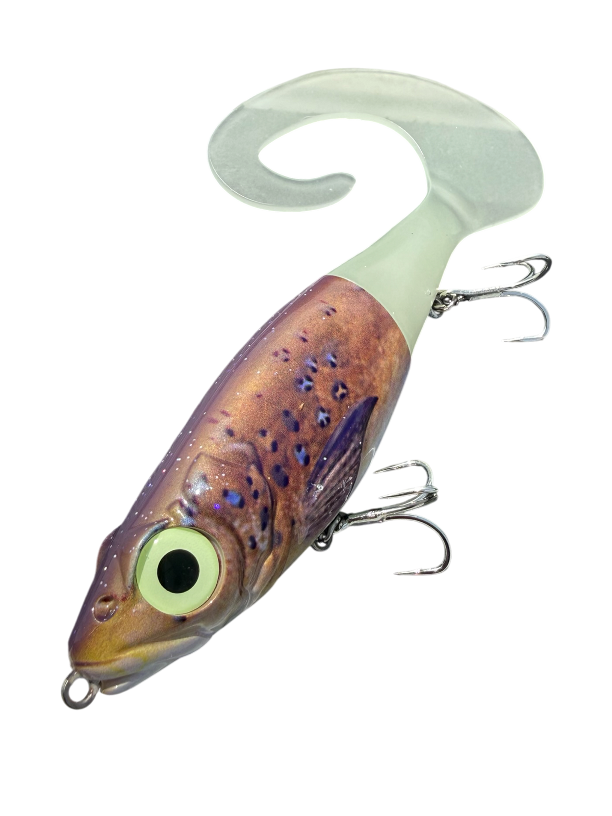 Kelp Greenling