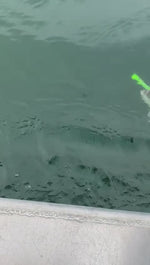 Hyper GLOW Octopus Lures