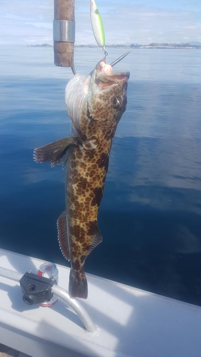 Flat Fall Lures