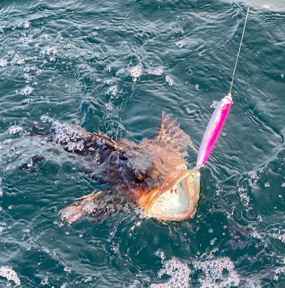 Candle Fish Lures